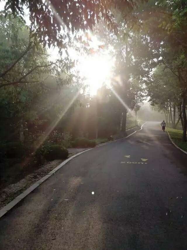 阳光房视觉的连贯性不仅仅体现在室内光线的一致上，也需要和外界相连通。因为阳光房处在别墅的首层，外面就是庭院，因此就将外部的区域纳入了视觉范围内，构成了一个和谐的整体，带来更加放松的体验