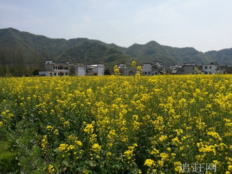 金秋时节瓜果香。目前，昌平3.4万亩优质苹果已全部成熟，进入**采摘期。对于市民来说，这也是一年中**一个采摘季。