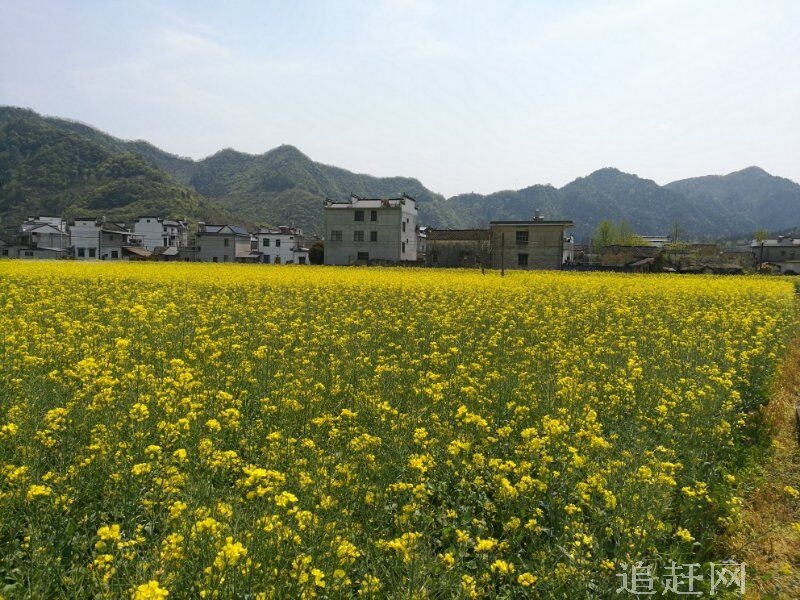 武汉中国科学院武汉植物园