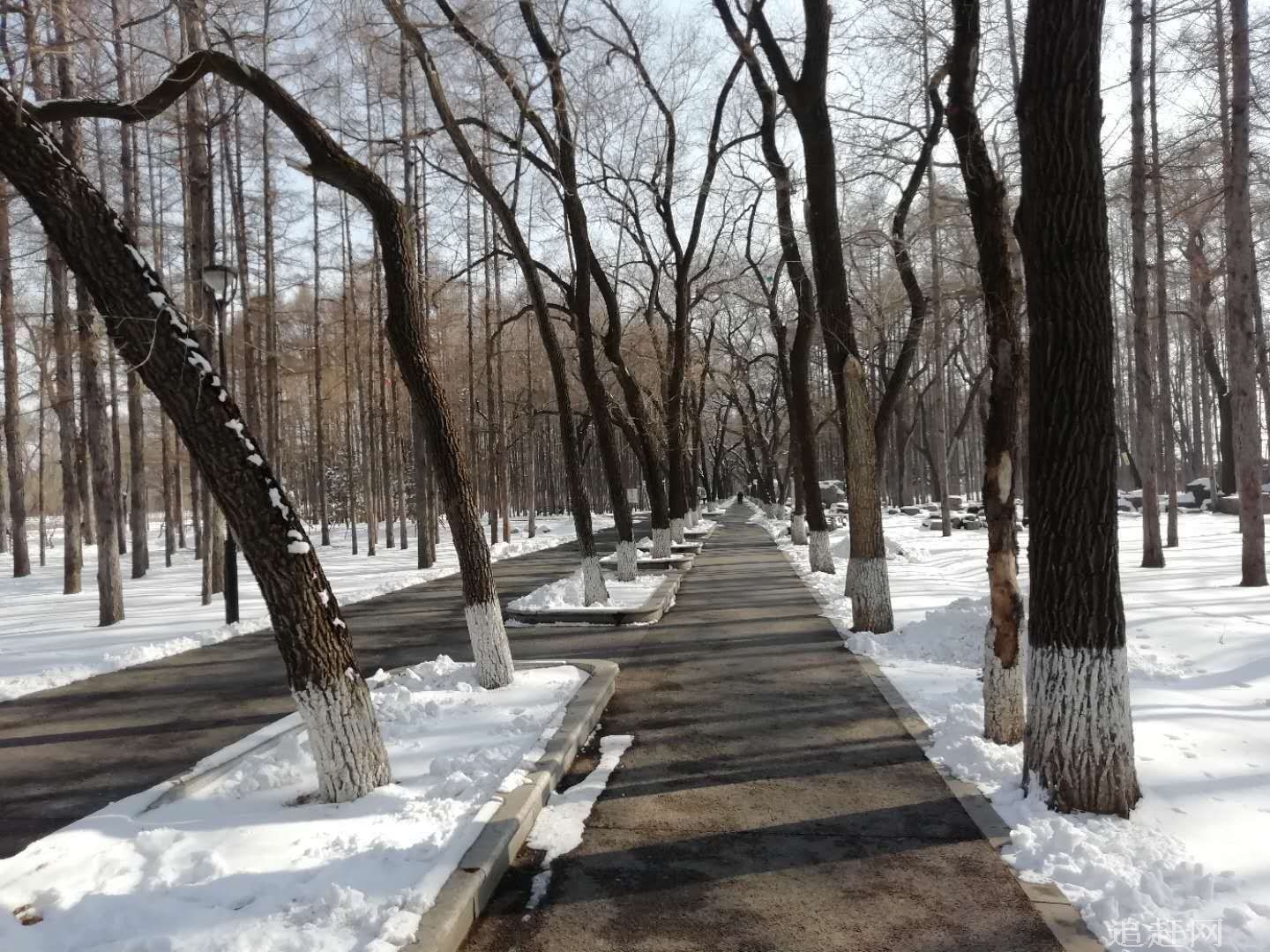 相信每一个对我国房地产调控有一定了解的朋友都知道，每一次的楼市调控并不会带来房价如你所愿的下跌，最终只是由快速增长转变为缓慢增长，房价依旧在增长。