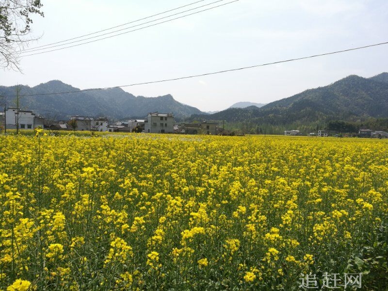 二龙山是首批**AAAA级旅游区，素有“哈尔滨东花园”之称，位于哈尔滨市东50公里处，坐落在古城宾州西南。二龙山因二龙湖而得名，二龙湖又名二龙山水库。