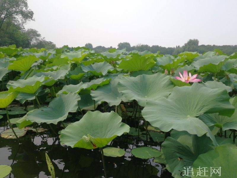 汽车变速箱油需要更换吗？不定期更换危害很大！