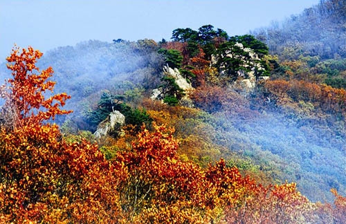 8月5日，第二届“库拉岗日”文化旅游节在西藏自治区山南市洛扎县圆满落幕，旅游节期间的贸易日均成交额达157万元。