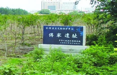 傅家遗址位于山东省东营市广饶县城南1.5公里的傅家村，俗称“傅家顶盖子”或称“摩天岭”，是新石器时代大汶口文化遗址，是鲁北地区发现的**有代表性的大汶口文化遗址。