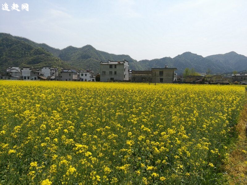 万紫千红生态养生旅游度假区为**4A级旅游景区，占地11000亩，以1200亩青界湖为中心（大小水面19处），四面群山环绕、地势起伏、植物茂盛，拥有北方地区**为少见的集湖水、缓坡、浅丘、山峦、密林于一体的山水田园自然景观。