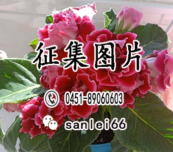 西湖无疑是杭州之美的代表，**的“西湖十景”环绕湖边，自然与人文相互映衬，组成了杭州旅行的核心地带。你不必执着于走遍每个景点，倒可以花上半天或一天在湖边徜徉一番，无论怎么玩，都让人心情舒畅。