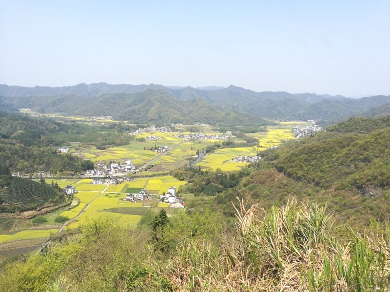 锅塌鲈鱼