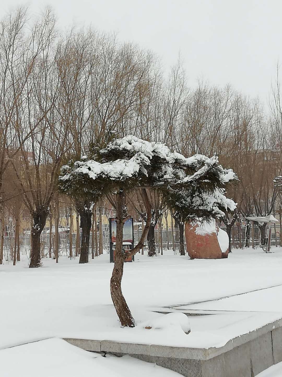 一踏入雪乡，就看到厚厚的雪铺满在路上，脚踩在上面，发出咯吱咯吱的响声;路的两旁是排列整齐的平房，房子的屋顶是平的，堆积了厚厚的雪，雪太厚了，一直延伸到屋檐外，形成各种形状，家家户户门前挂着大大红灯笼，在洁白的积雪的映衬下，红得是那么的耀眼，袅袅炊烟在空中冉冉上升，充满了诗情画意。