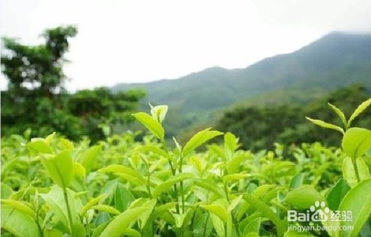 劳动节，活动活动在所难免，看天高云阔，走遍山川河流，游过山林花海，只留下趣味玩乐。