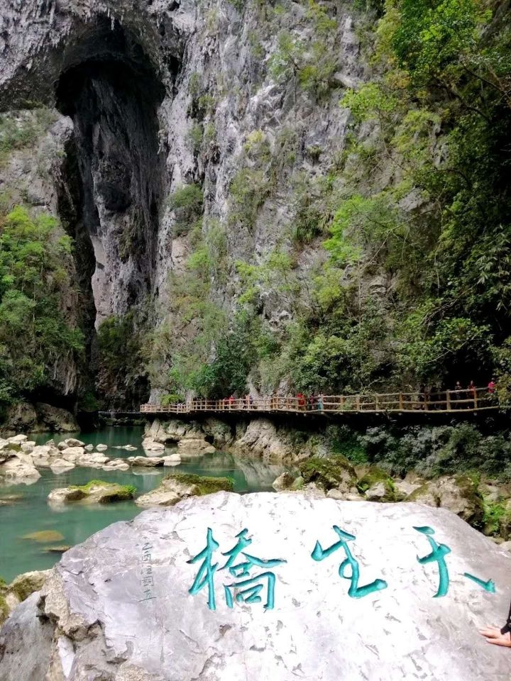 全新高级会计师相关图书,包含高级会计师教材