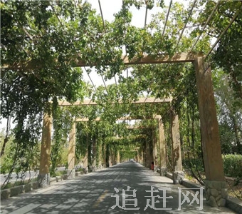 依兰古城中心旅游区位于哈尔滨市东部，同三公路、哈同公路、哈萝公路三条高速可达。距哈尔滨市270公里。是历史文化类人文风景旅游区。