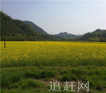 宝胜寺位于阿城区城南，毗邻金上京历史博物馆、完颜阿骨打陵和金上京遗址。