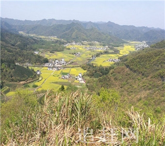 横头山**森林公园是2007年**林业局设立的，2011年7月更名为金龙山**森林公园，位于哈尔滨市区东南59公里处的金代发祥地境内，在大岭乡吉兴林场和松峰山镇中和林场施业区内，隶属于阿城区林业局。