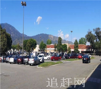 森林植物园位于齐齐哈尔市富裕县富裕城东，是新建成的具有代表性的东北寒温带植物园，是集植物旅游、休闲为一体的植物园，园内建有风格各异的树木标本园、药用植物园等。