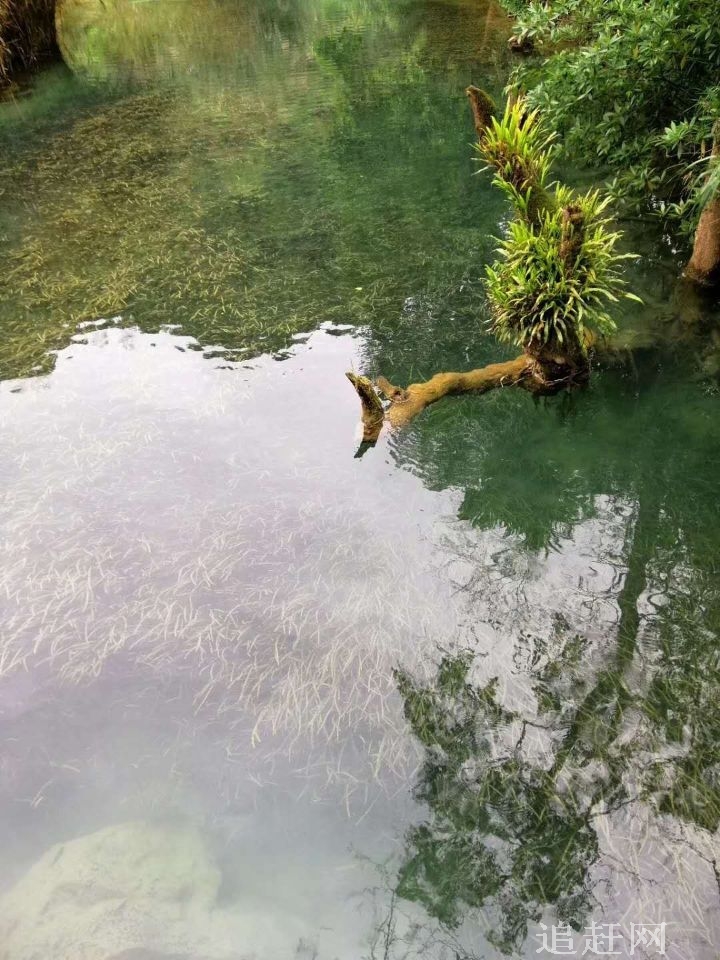 林甸县九道沟民族风情园是少数民族聚集村，2000年被大庆市正式命名为“少数民族村”。