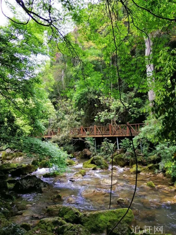 沈阳植物园，位于沈阳市东陵区高坎镇中马村，被命名为“辽宁省五十大佳景”、“沈阳市十五大旅游景观”。