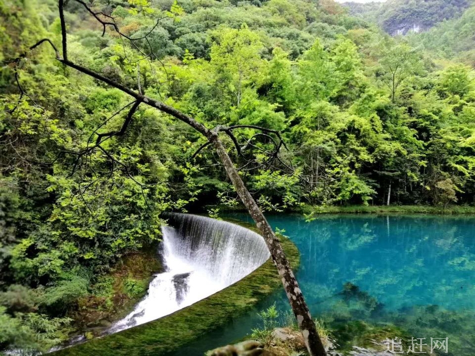 近海之星游乐园坐落于美丽的辽中蒲河**湿地公园核心区，与湿地码头隔河相望，与辽中新老城区相毗邻，距京沈高速公路辽0口1.5公里。