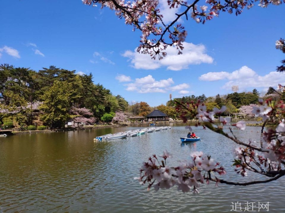 大连老虎滩海洋公园坐落在**级风景名胜区——大连南部海滨的中部。占地面积118万平方米，有着4000余米的曲折海岸线。