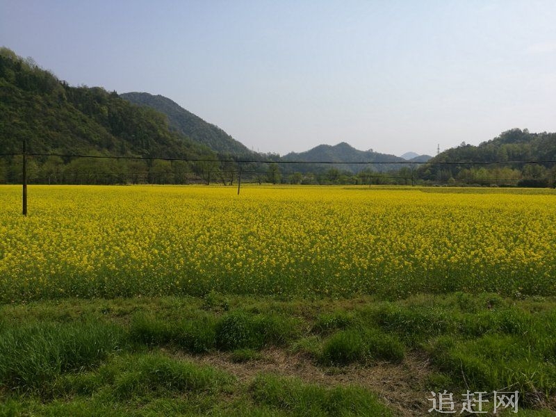 汤沟风景区是**级森林公园，位于本溪满族自治县草河掌镇境内，与关门山相毗邻。公园面积2167公顷，森林覆盖率为90%，植被完好生态自然。