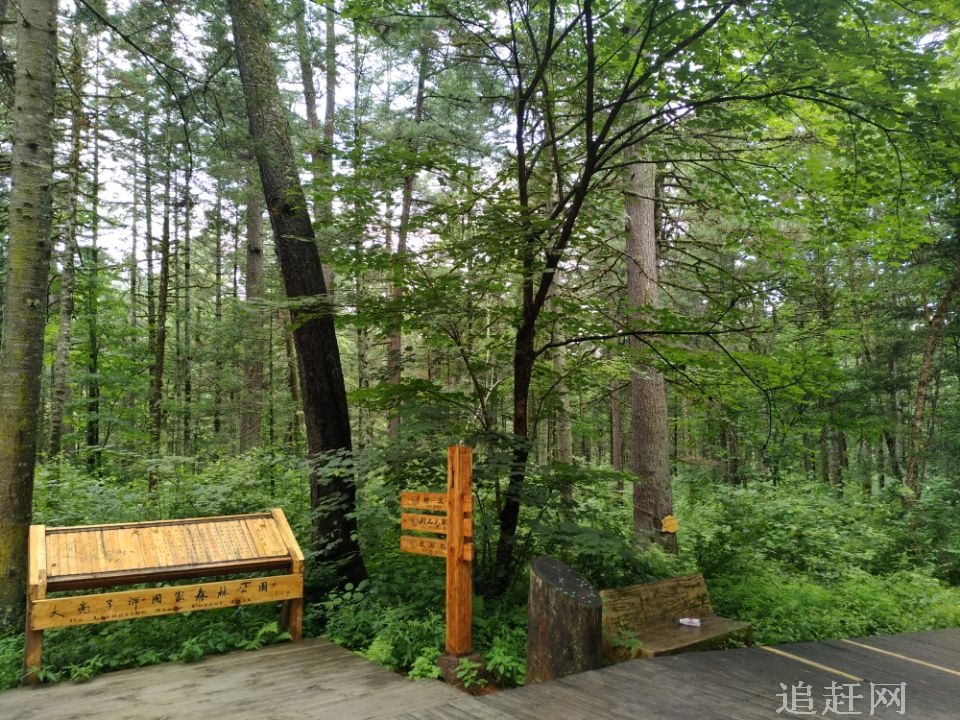 尾山又称无虑山，是一座生态古火山。底部宽广平坦，有深厚的火山沃土。位于火山群的北部，海拔516.6米，相对高差96米，呈卵形，溢出口朝向北西，火山锥东陡西缓，剖面穹隆形，如同一条向西延伸的长长的马尾而故名。