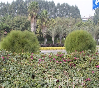 一座以风景林地、休闲娱乐为特色的植物生态博览园，在我市经过三年建设，现已初具规模。并在树吐新绿、鲜花竞开的季节里开始免费向市民开放。