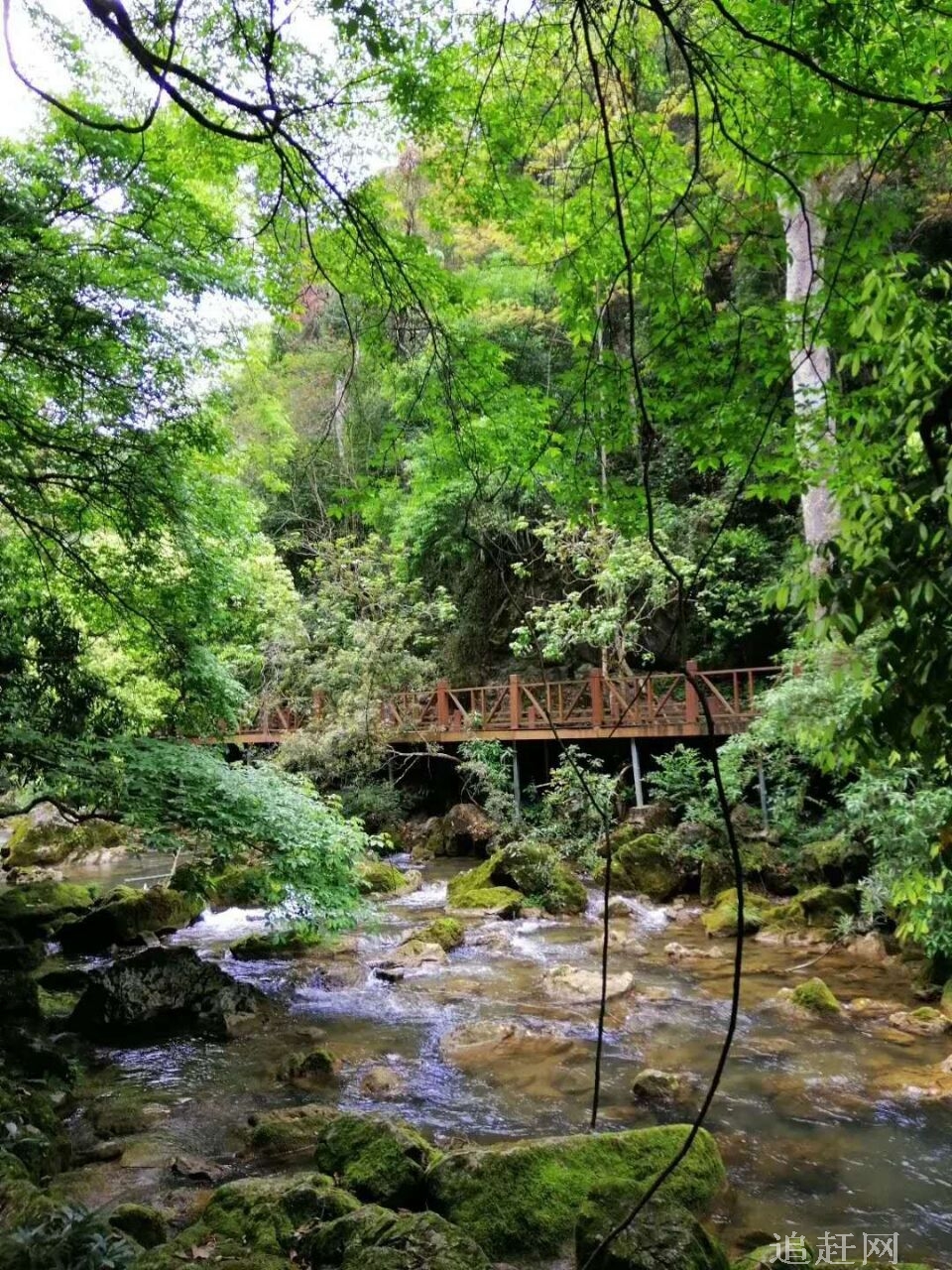 有“神州北**”之称的北**村，古风淳朴，静溢清新，景色宜人。每逢夏至，前来观赏“北**光”和“**昼”的游人绪绎不绝。