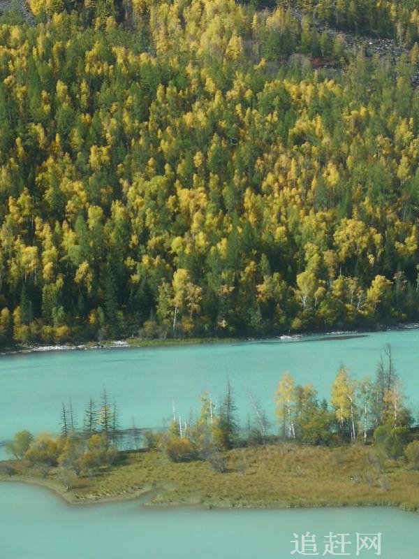 三江平原湿地宣教馆是东北地区**的、唯一一处以三江平原湿地为载体，是集展示、宣传、教育、科研为一体的专业性展馆。