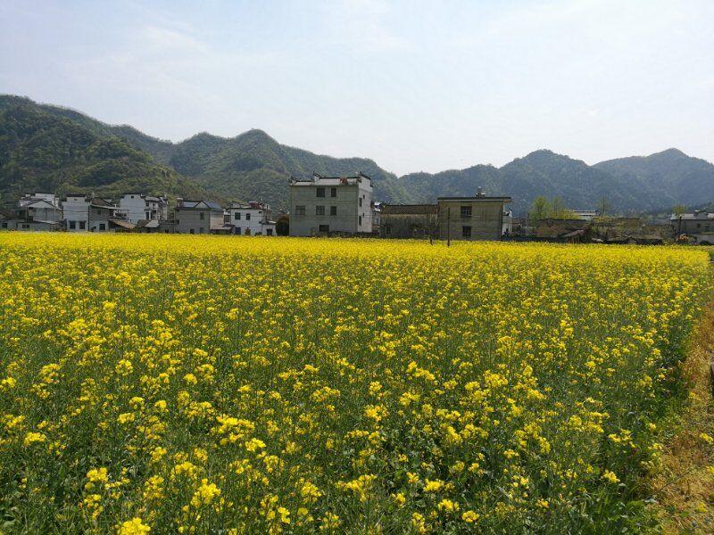 大石桥市建一黄丫口风景区位于大石桥市建一镇黄丫口村，处在大石桥市东部山区，占地24平方公里，东南与岫岩哈达碑镇毗连，北与海城孤山镇、岔沟镇为邻。