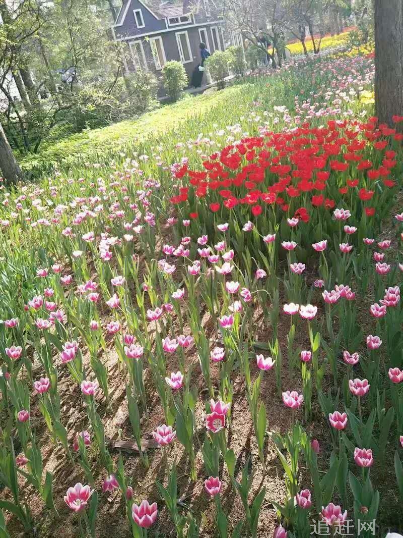 　虎石沟万人坑位于大石桥市南楼镇圣水村，在小圣水寺的虎石沟里。展厅由主馆和两个副馆组成，虎石沟万人坑的面积约500多平方米。