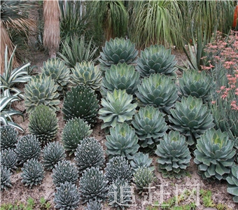 　常泰寺位于昌图县昌图镇太阳山风景区，南依风光旖旎、碧波潋滟的太阳山湖，北卧山势起伏绵延的太阳山，自然风光优美且交通十分便利。