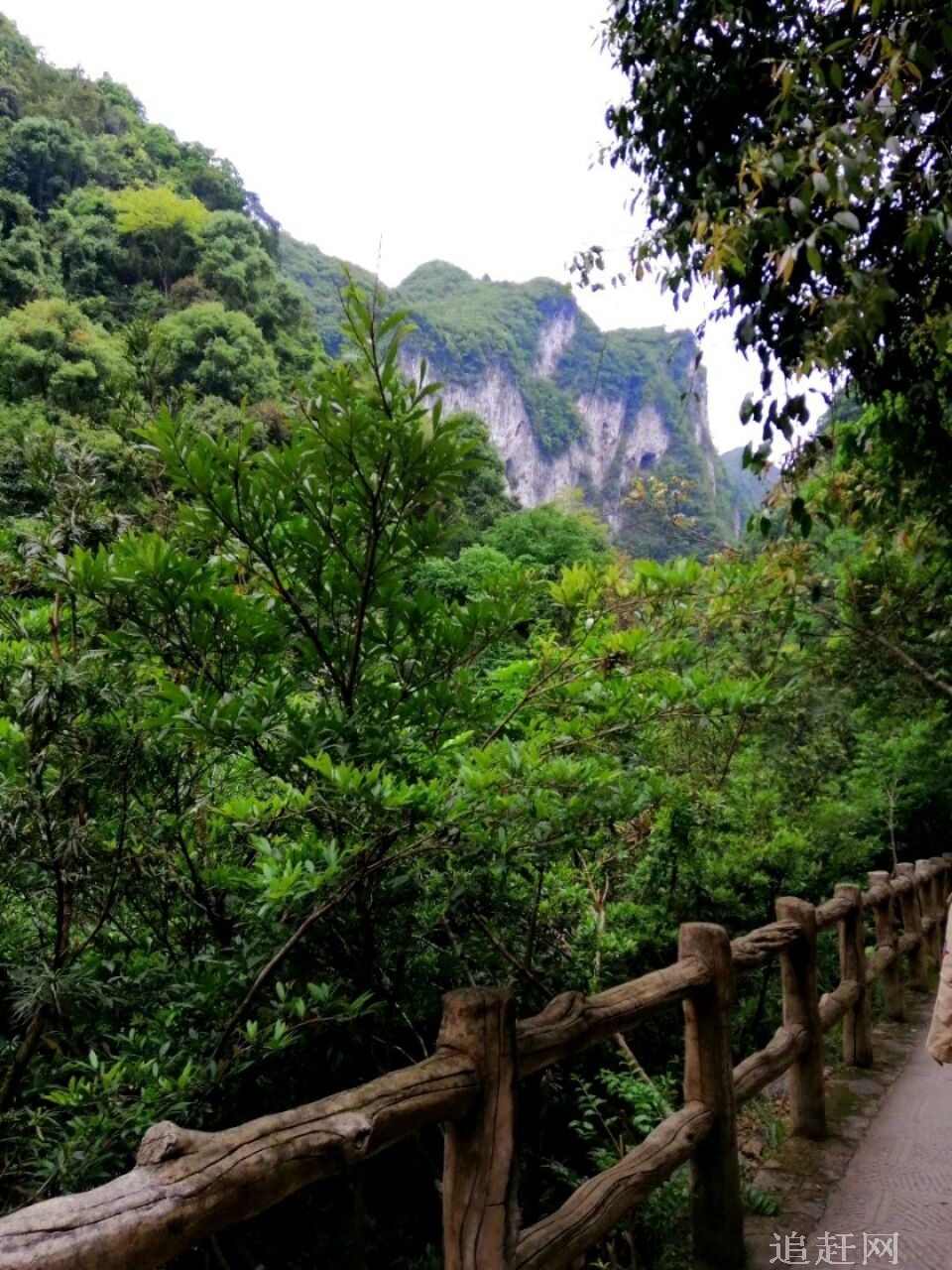 石羊石虎辽代古墓遗址，俗称大河北石像生，位于大河北乡黄土梁子石羊石虎村，面积大约有15000平方米