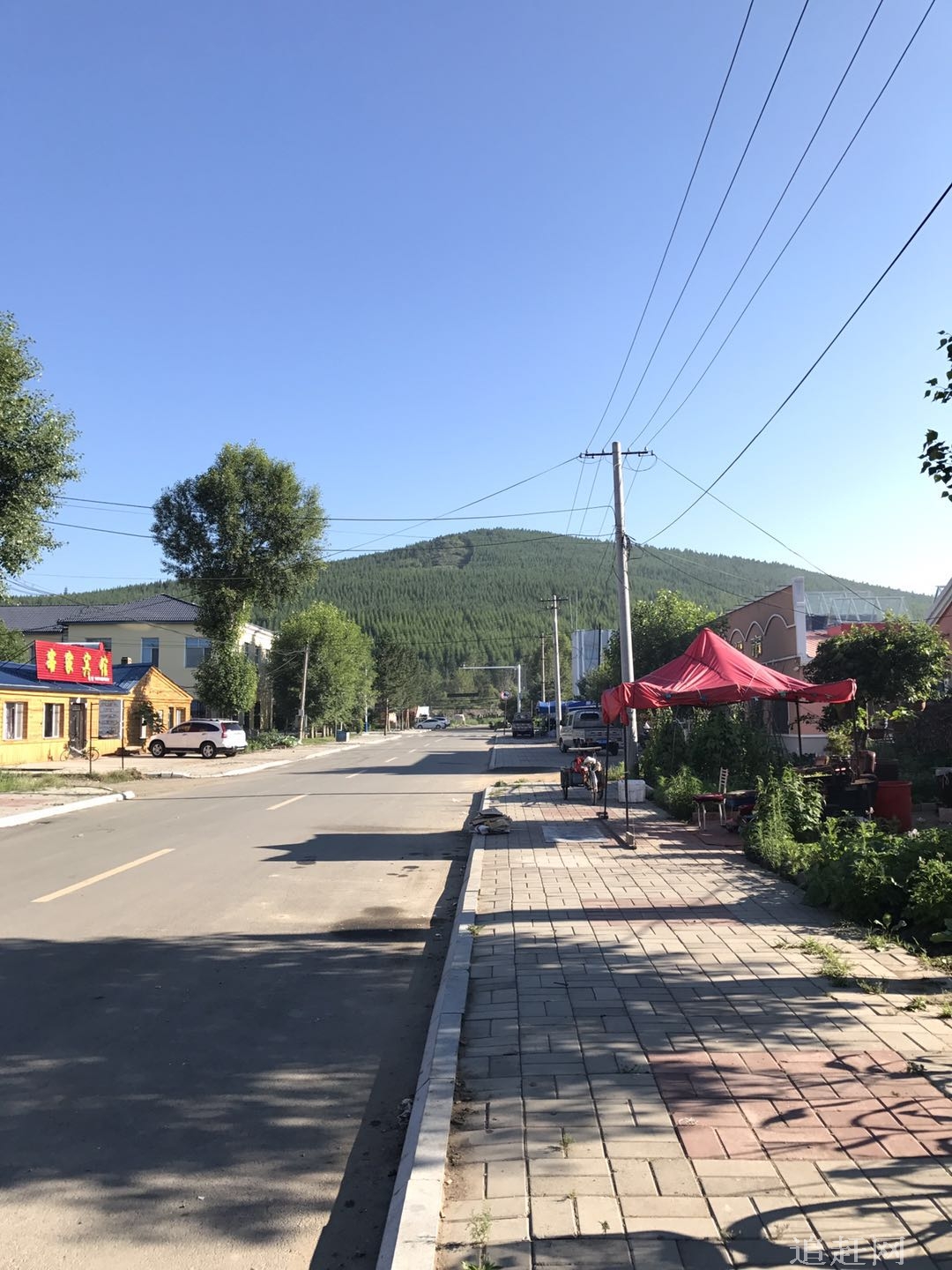 西阳罗圈沟观光旅游区该景点距县城口前镇11公里，位于风景秀丽的马鞍山脚下，此地有20多年种植葡萄的历史，种植面积达120公顷，是纯天然绿色食品，并已注册了"罗圈沟"商标。