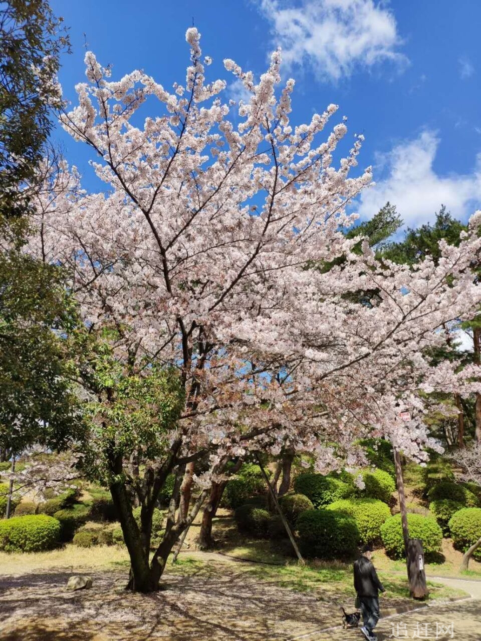 里山清水秀，鸟语花香，资源丰富，物华天宝。温暖的春季姹紫嫣红，浪漫的夏季绿草如茵，金色的秋天色彩斑谰，朔风的隆重冬绿色常在。