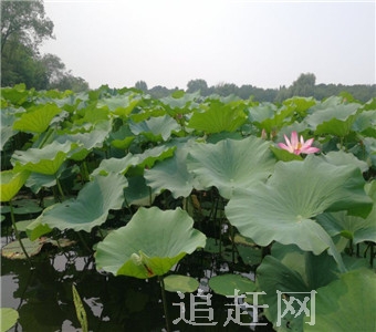 冀鲁豫边区革命纪念馆位于菏泽市城区赵王河畔。它是由河北、山东、河南三省共同筹资而兴建的一座大型跨省革命历史纪念馆。