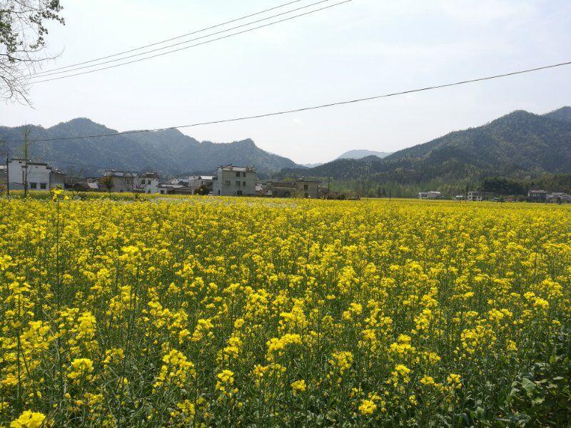 　永丰塔，又称“梵塔”、大佛寺塔。位于巨野县城人民路东段北侧，东邻麟州宾馆，西靠民房，北距文庙街约70米。