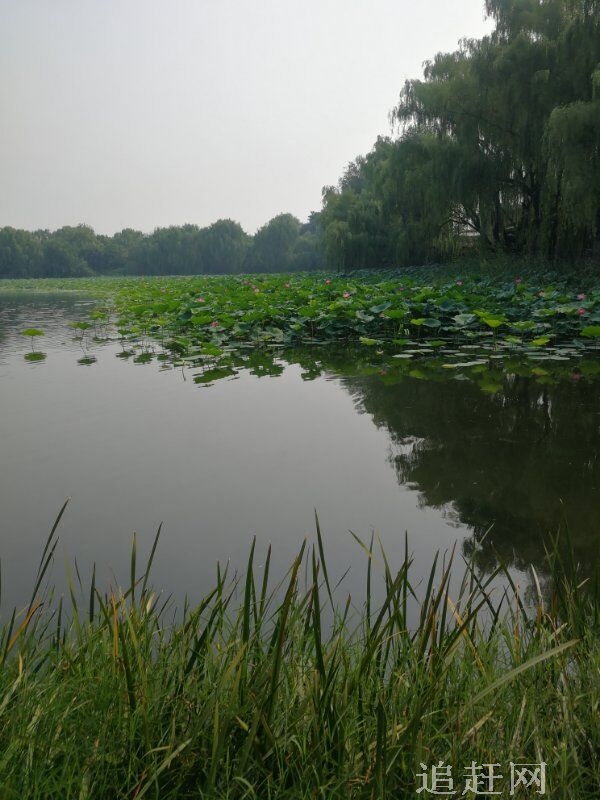 东明庄周墓位于东明县菜园集乡。年代为东周。2013年，东明庄周墓被山东省人民政府公布为山东省第四批省级文物保护单位。