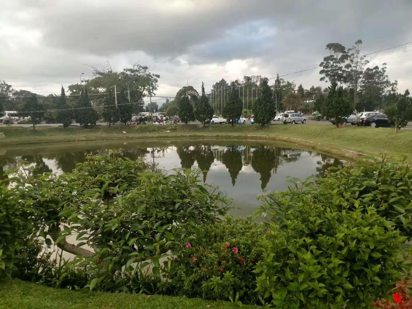 高密市胶河水利风景区位于美丽富饶的凤城东部，依托胶河河道以及两岸风景建设而成。胶河自山东省高密市柏城镇空冲水村南入境，流经柏城镇、朝阳街道、夏庄镇、胶河疏港物流区，在东风村汇入胶莱河。