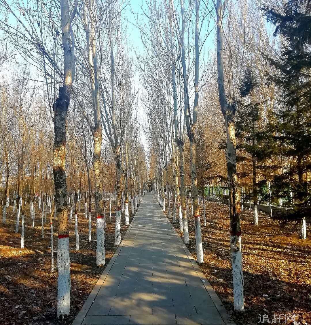 　乳山岠嵎山风景区位于乳山市区西约18公里处，素有“天然石雕园”、“植物园”、“天然氧吧”的美誉。