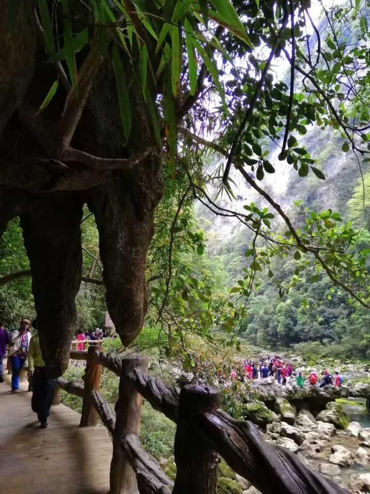 马道起自梁山北麓的后寨，蜿蜒南伸，穿越青龙山、狗头山，骑三山，曲折回旋，越过黑风口，直达虎头峰上的宋江大寨。是义**将士搬运粮草、报事上哨，防卫进攻的要道。