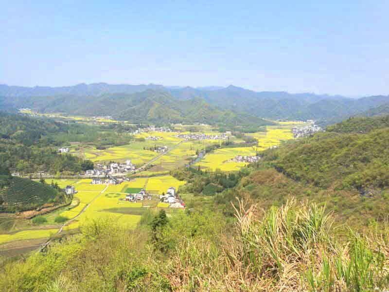 安庆特产美食