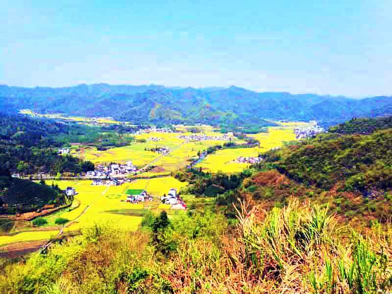 崇左，广西壮族自治区所辖地级市，环北部湾城市群城市，位于广西壮族自治区西南部，地理坐标在北纬21°36`~23°22`，东经106°33`~108°6`之间，东及东南部接南宁市、防城港市，北邻百色市，西与与越南接壤，是广西边境线陆路**长的地级市，总面积17440平方公里。
崇左市是中国通往东盟**便捷的陆路大通道，是中越两廊一圈和南宁—新加坡经济走廊的重要节点城市、广西北部湾经济区城市之一，设有**一类口岸3个、二类口岸4个、边民互市点13个，是中国边境口岸**多的城市。