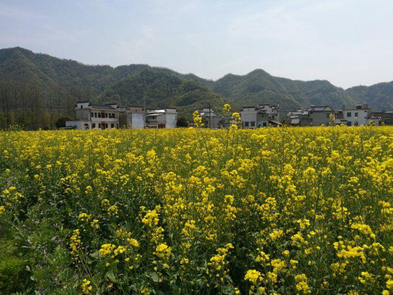 [显灵宫]位于肥城市石横村西端，俗称西宫庙或“行宫”。明万历四十二年(1614年)三月创建，现正殿、东西两殿、前过殿保存完整，是肥城市**完整的明代建筑。内有碧霞元君睡姿塑像，人称“睡奶奶”。