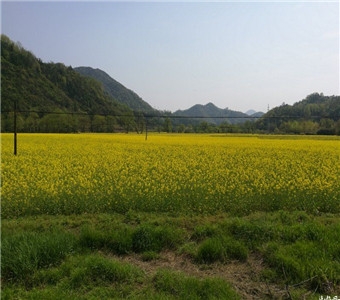 “横山革命根据地”位于莒县小店镇；南与中共山东省诞生地大店镇相毗邻；北与莒县县城相距20公里。1940年抗日战争进入艰难时期后.