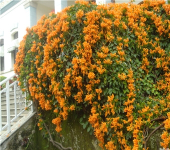 景阳冈旅游区，是《水浒传》中描述的武松打虎处，也是龙山文化城遗址所在地，是水浒旅游线上的重点景区。