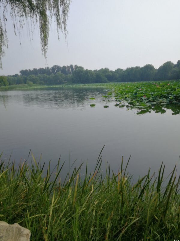 杜受田故居是清朝咸丰皇帝的恩师杜受田的旧居，也是杜家众多名臣的旧居。滨州杜家是明清望族，久有“一门之盛，甲于天下”的美誉，以“一门十二进士”、“四世六翰林”、“满门皆清官”而闻名华夏。