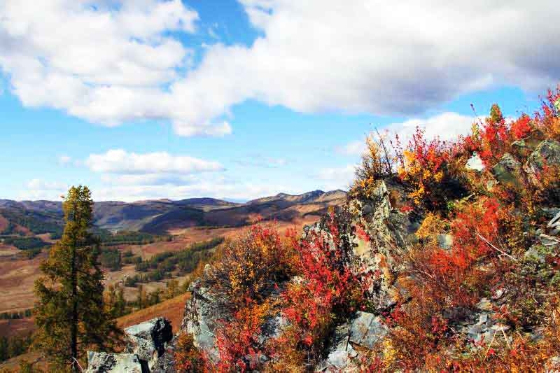 嘉峪关，号称“天下第一雄关”，  位于甘肃省嘉峪关市西5千米处**狭窄的山谷中部，城关两侧的城墙横穿沙漠戈壁，北连黑山悬壁长城，南接天下第一墩，是明长城**西端的关口，历史上曾被称为河西咽喉，因地势险要，建筑雄伟，有连陲锁钥之称。嘉峪关是古代“丝绸之路”的交通要塞，中国长城三大奇观之一（东有山海关、中有镇北台、西有嘉峪关）。