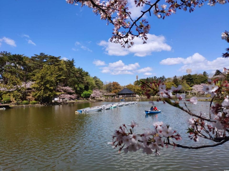 樱花山景区始建于2004年，占地3600亩，历经9年多的时间，由荒山荒滩改造而成。斥巨资，通过实施劈山引水、筑坝拦水、挖坑养水、调整山势、植树造林、砌墙防火、道路成网等七大环境治理工程。