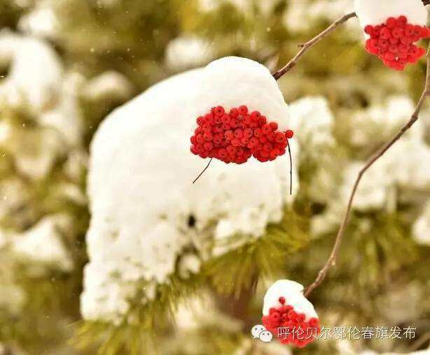 长白山国际天然滑雪公园，亚洲**的天然雪主题滑雪公园。2009年1月12日在长白山西坡开放。这是我国目前唯一一家以天然雪为基础、以高山**限滑雪项目为主的天然滑雪公园。