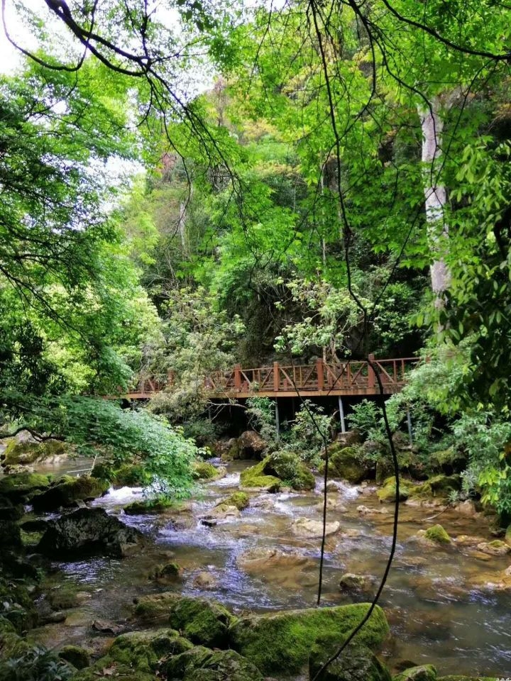 大安嫩江湾**湿地公园位于吉林省松嫩平原中部，大安市城区东北部，东经123°09′，北纬44°57′，距城区仅1公里。