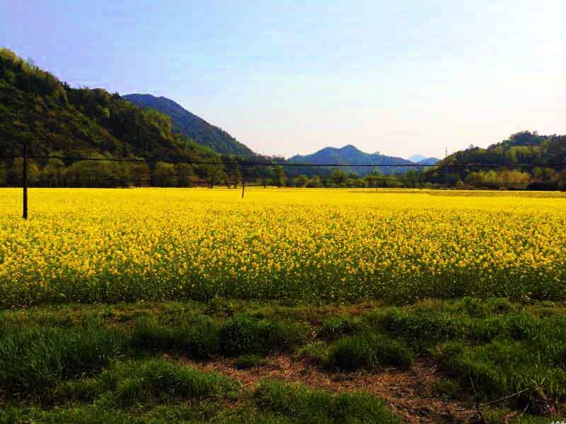 双鸭山英语机构派德森 入学进行英语测试,根据结果定制专属个 性化雅思课程双鸭山英语机构,能力更高一筹.中外教师资让您的实力 稳步提升。